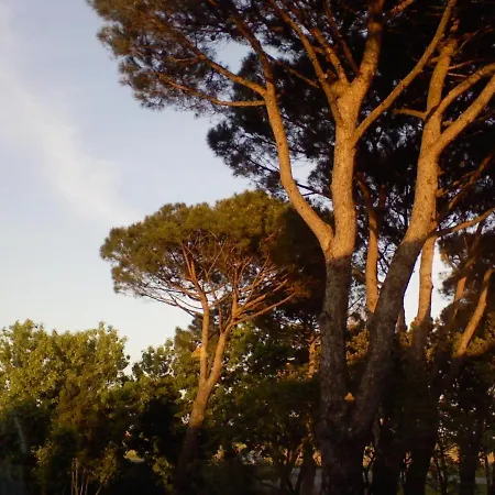 Διαμέρισμα Ebe Vicino Al Mare *